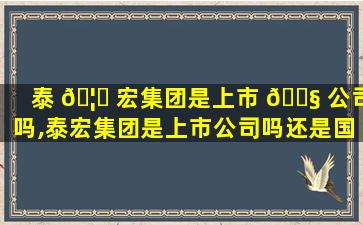 泰 🦍 宏集团是上市 🐧 公司吗,泰宏集团是上市公司吗还是国企